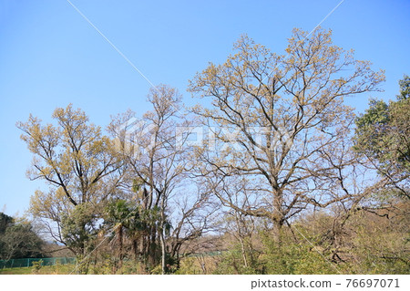 春天公園 76697071