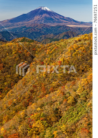 Autumnal leaves Tanzawa · Nabebarasan and Mt. Fuji 76697251
