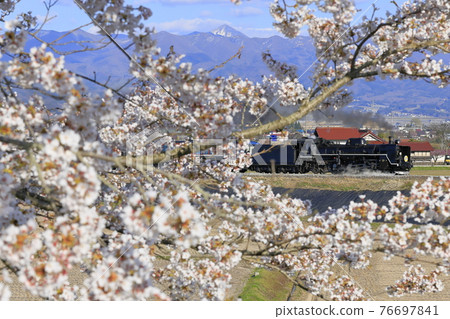 春季盤越齋線SL 春季盤越齋線SL 76697841