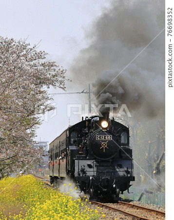 Spring Moka railway SL 76698352
