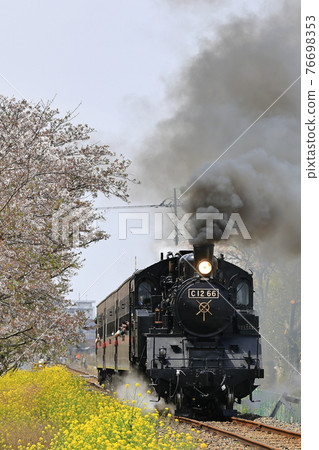 Spring Moka railway SL 76698353