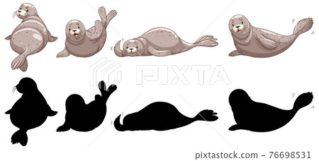 Set of seal characters and its silhouette on white background 76698531