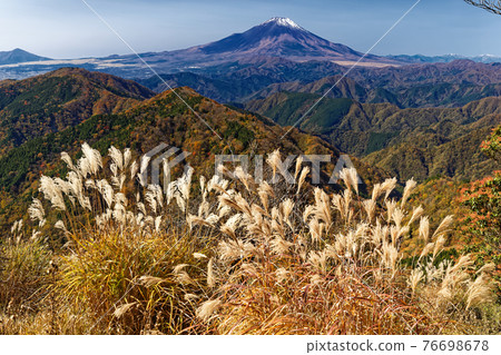 深秋從丹澤和鍋堀山看富士山 76698678