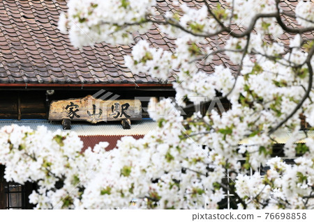 春天家山站（大井川鐵道） 76698858
