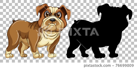 Bulldog dog and its silhouette Bulldog dog and its silhouette 76699809