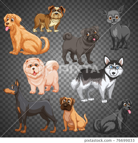 Set of different dogs isolated Set of different dogs isolated 76699833