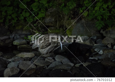 在知床的知床 76701012