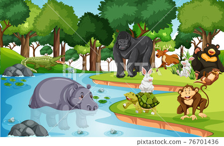 Wild animals in the jungle 76701436