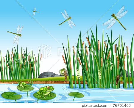 Many green frogs and dragonfly in the pond scene - Stock Illustration ...