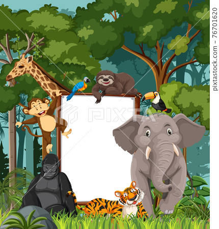 Blank banner in the rainforest scene with wild animals 76701620