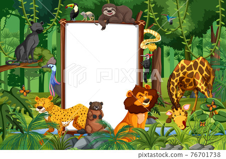 Blank banner in the rainforest scene with wild animals 76701738