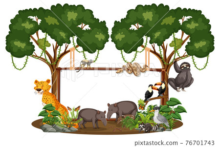 Empty banner with wild animals and rainforest trees on white background Empty banner with wild animals and rainforest trees on white background 76701743