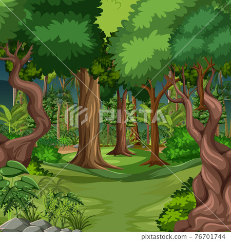 Forest scene with many trees 76701744
