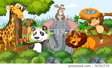 Wild animals in the jungle Wild animals in the jungle 76701779