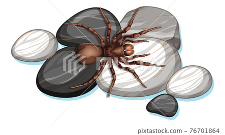 Top view of spider on a stone on white background 76701864