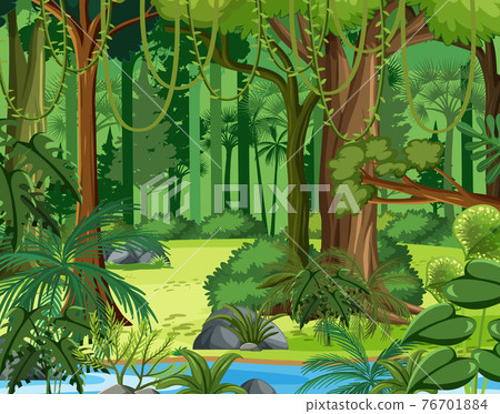 Jungle scene with liana and many trees 76701884