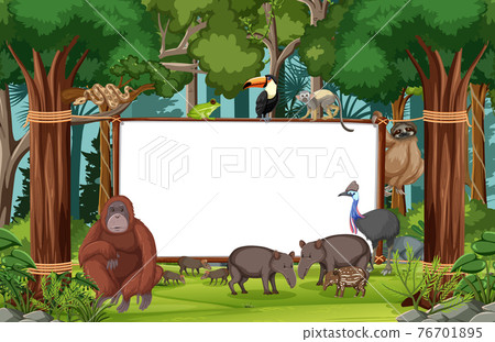 Blank banner in the rainforest scene with wild animals 76701895