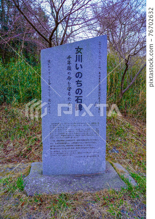 女川生命石紀念碑，和神上（宮城縣女川町） 76702632