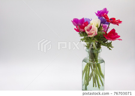 Colorful anemone flowers 76703071