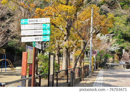 Kamakura City Yoritomo's grave approach, tourist information board and cherry blossoms in full bloom 76703671