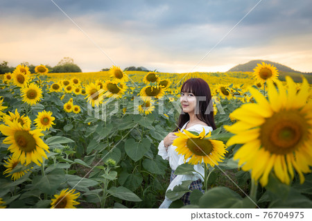 Happy enjoy summer girl in sunflower field in spring. Asian young woman joyful and smiling at sunset time Happy enjoy summer girl in sunflower field in spring. Asian young woman joyful and smiling at sunset time 76704975