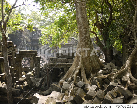與樹木同化的 Beng Melia 遺址 與樹木同化的 Beng Melia 遺址 76705235