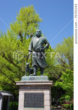 Statue of Saigo in the fresh green Ueno Statue of Saigo in the fresh green Ueno 76705345
