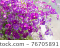 Spring flowers (purple) 76705891
