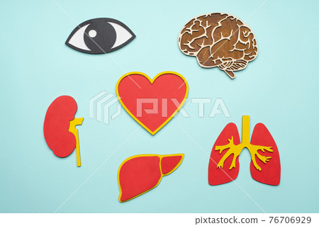 mockup of eye, brain, lungs, heart, kidney and liver on blue background mockup of eye, brain, lungs, heart, kidney and liver on blue background 76706929