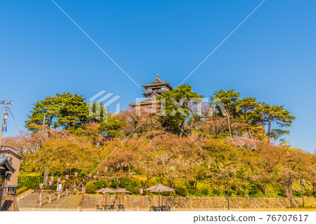 丸岡城堡 丸岡城堡 76707617