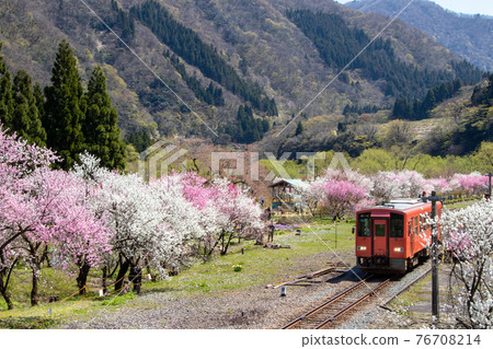 從花桃之里站出發的九頭龍線柴油列車 76708214