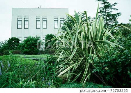 在意的建築物 76708265