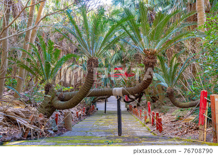 三aki神社的風景 三aki神社的風景 76708790