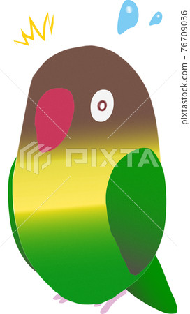 Yellow-collared lovebird surprised illustration 76709036