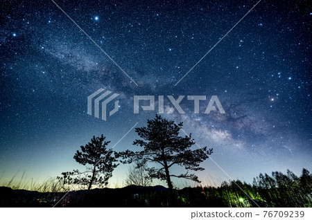八岳高原森林上空的星空 76709239