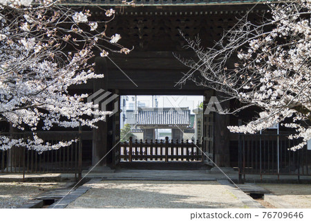 春天從大住寺三門看正門 春天從大住寺三門看正門 76709646