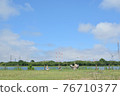 Kaminoike Park 76710377