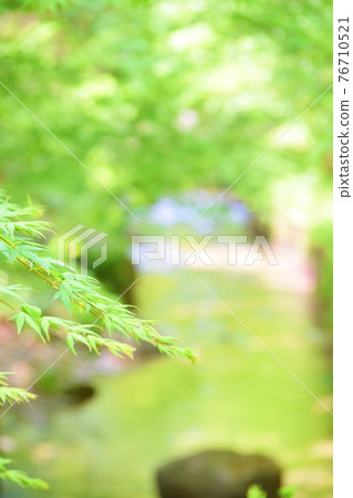 Fresh green leaves and rivers Fresh green leaves and rivers 76710521