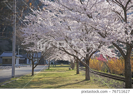 安諾花站公園 安諾花站公園 76711627