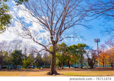 藍天下綠樹環繞的公園 藍天下綠樹環繞的公園 76711878