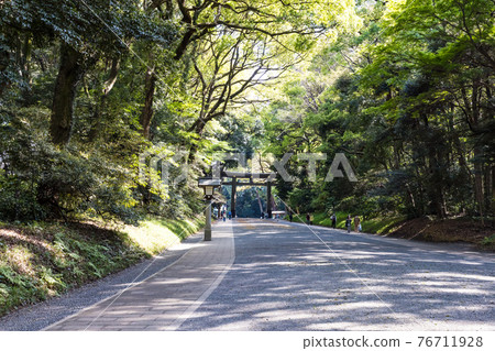 (Tokyo-Cityscape) Spring Meiji Jingu approach to the shrine 8 (Tokyo-Cityscape) Spring Meiji Jingu approach to the shrine 8 76711928