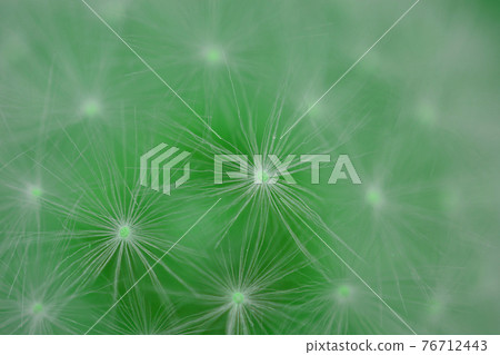 蒲公英絨毛背景圖片 76712443