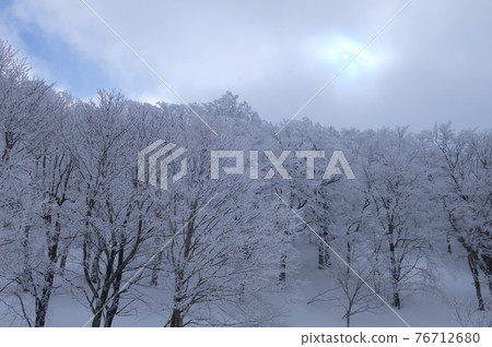 山形藏王溫泉滑雪勝地樹上霧凇 山形藏王溫泉滑雪勝地樹上霧凇 76712680