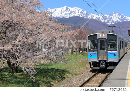 Oito Line Sakura Blooming Kita-Omachi Station Oito Line Sakura Blooming Kita-Omachi Station 76712681