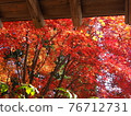 Autumn leaves burning bright red on the eaves 76712731