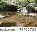 Mountain Shimizu overgrown with moss 76712733