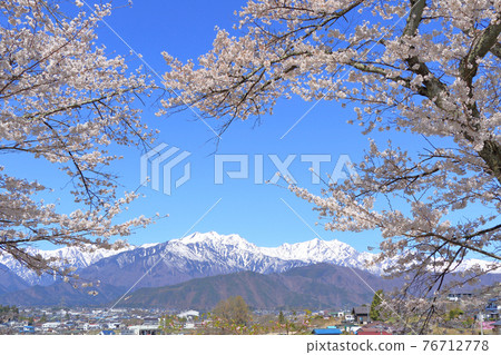 Spring in Shinano Omachi: Northern Alps with cherry blossoms and residual snow Spring in Shinano Omachi: Northern Alps with cherry blossoms and residual snow 76712778