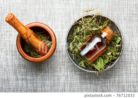 Orthilia in herbal medicine.Homeopathy and herbal medicine 76712833