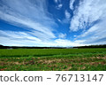 Fields, clouds, sky 76713147