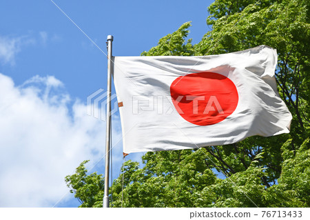 拍打日旗 拍打日旗 76713433